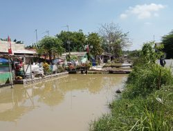 Pasca Disidak Pj Bupati Bekasi, Warna Air Kali Cilemahabang Tak Hitam Lagi