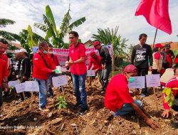 PDI Perjuangan Kabupaten Bekasi Gelar Gerakan Sicita dan Tanam Pohon Rayakan Ultah Megawati Soekarnoputri
