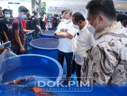 Plt Bupati Bekasi Akhmad Marjuki Buka Festival Ikan Koi Pertama di Kabupaten Bekasi