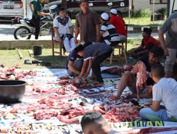 Idul Adha 1443 Hijriyah 2022 di Kabupaten Humbahas Berlangsung Penuh Hikmah