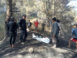 1 Orang Tewas Akibat Kebakaran Hutan di Kecamatan Muara