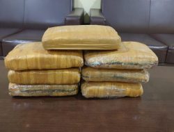 Satresnarkoba Polres Metro Bekasi Kota Gagalkan Pengiriman Ganja Seberat 7 Kg
