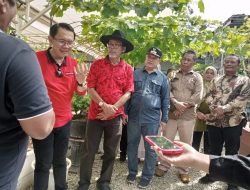 Pj Bupati Bekasi Dorong Petani Anggur Ciptakan Varietas Lokal