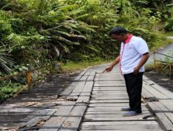 Jembatan Lae Luhung Desa Sion Runggu Parlilitan Butuh Perbaikan