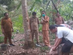 Ternak Diserang Penyakit ASF, Dinas Peternakan dan Perikanan Humbahas Lakukan Penyemprotan