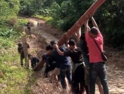 PLN Realisasikan Listrik Desa di 3 Kabupaten Sumut
