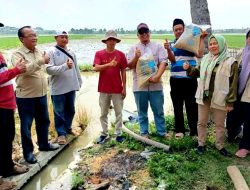 Pemkab Bekasi Salurkan Bantuan Benih kepada Petani Terdampak Banjir
