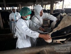 Kabupaten Bekasi Targetkan 9.000 Ekor Ternak Divaksin Tahun 2023