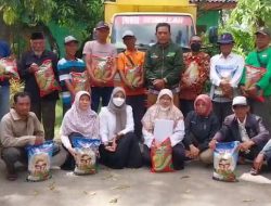 Pemkab Bekasi Terus Distribusikan Bantuan Benih Padi untuk Petani Terdampak Banjir