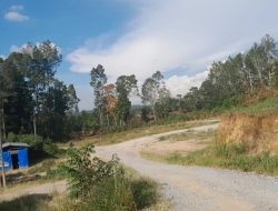 Warga Nagasaribu Humbahas Impikan Perbaikan Jalan Menuju Lumban Sialaman