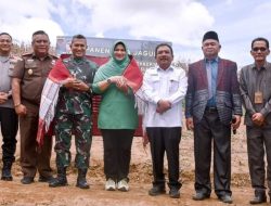 Danrem 023/KS Bersama Forkopimda Panen Raya Jagung di  Humbahas