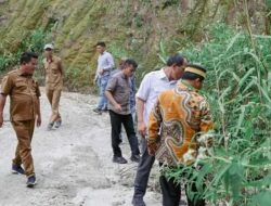 Bupati Humbahas Tinjau Jalan untuk Pengembangan Food Estate di Matiti 2