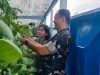 Dandim 0507/Bekasi Dampingi Ketua Persit Panen Sayuran Hasil Media Tanam Hidroponik