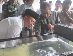 Bernilai Ekonomi Tinggi, Warga Pesisir Muaragembong Kembangkan Budidaya Ikan Air Payau