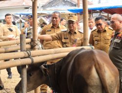 Pastikan Hewan Qurban Dalam Keadaan Sehat, Pj Wali Kota Bekasi Monitoring Lapak Distribusi Hewan Qurban