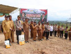 Pemkab Toba Dukung Program Penanaman Jagung Serentak Satu Juta Hektar