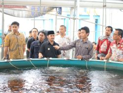 Ade Kunang: Pemanfaatan Maggot Solusi Pengelolaan Sampah Ramah Lingkungan
