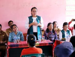 Ketua TP PKK Taput Salurkan 35 Paket Bantuan Sembako di Kecamatan Purbatua dan Pagaran