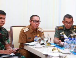 Bupati dan Wabup Taput Ikuti Rakor Eksplorasi Kemenyan dan Pengolahan Limbah Enceng Gondok Bersama Ketua DEN