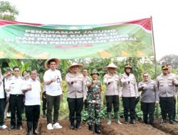 Kecamatan Pondok Melati Kota Bekasi Jadi Lokasi Penanaman Jagung Serentak