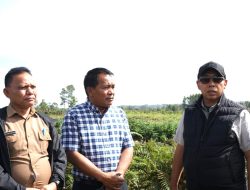 Bupati Taput Harapkan Rencana Pembangunan RS Rujukan Berjalan Baik dan Lancar