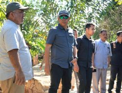 Bupati Taput Tinjau Langsung Lokasi Banjir di Kecamatan Purbatua
