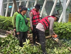 Gerak Cepat Ditsamapta Tangani Pohon Tumbang di Halte MRT Setiabudi Astra