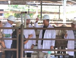 Polda Metro Jaya Cek Hewan Kurban di Dharma Jaya Jelang Idul Adha 2026