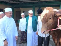 Plh Wali Kota Bekasi Serahkan Bantuan Sapi Qurban Presiden di Masjid Al Mukhlisin Jatiasih