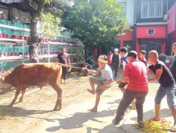 DPC PDI Perjuangan Kabupaten Bekasi Salurkan Daging Qurban, Maknai Keteladanan Nabi Ibrahim Alaihissalam