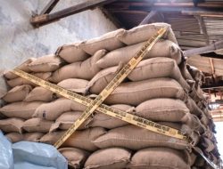 Polda Metro Jaya Amankan 49,85 Ton Kacang Tanah, Diduga Masuk Tanpa Dokumen Lengkap