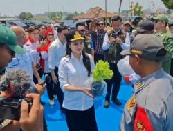 8.000 Satlinmas se-Jawa Tengah Padati Stadion Pandanaran Wujil, ASLINMAS dan ABPEDNAS Perkuat Konsolidasi Organisasi